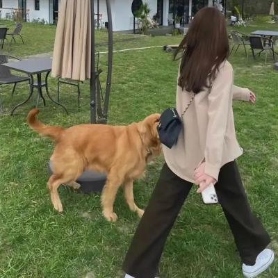 惊心动魄撞死你海报